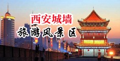 鸡巴插你嫩逼里网站中国陕西-西安城墙旅游风景区