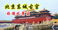 操逼男女白虎中国北京-东城古宫旅游风景区