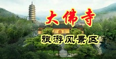 骚B后入中国浙江-新昌大佛寺旅游风景区